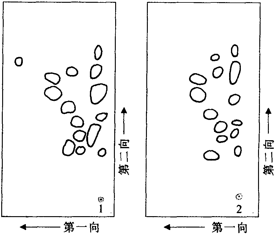 一、氨基酸和蛋白質